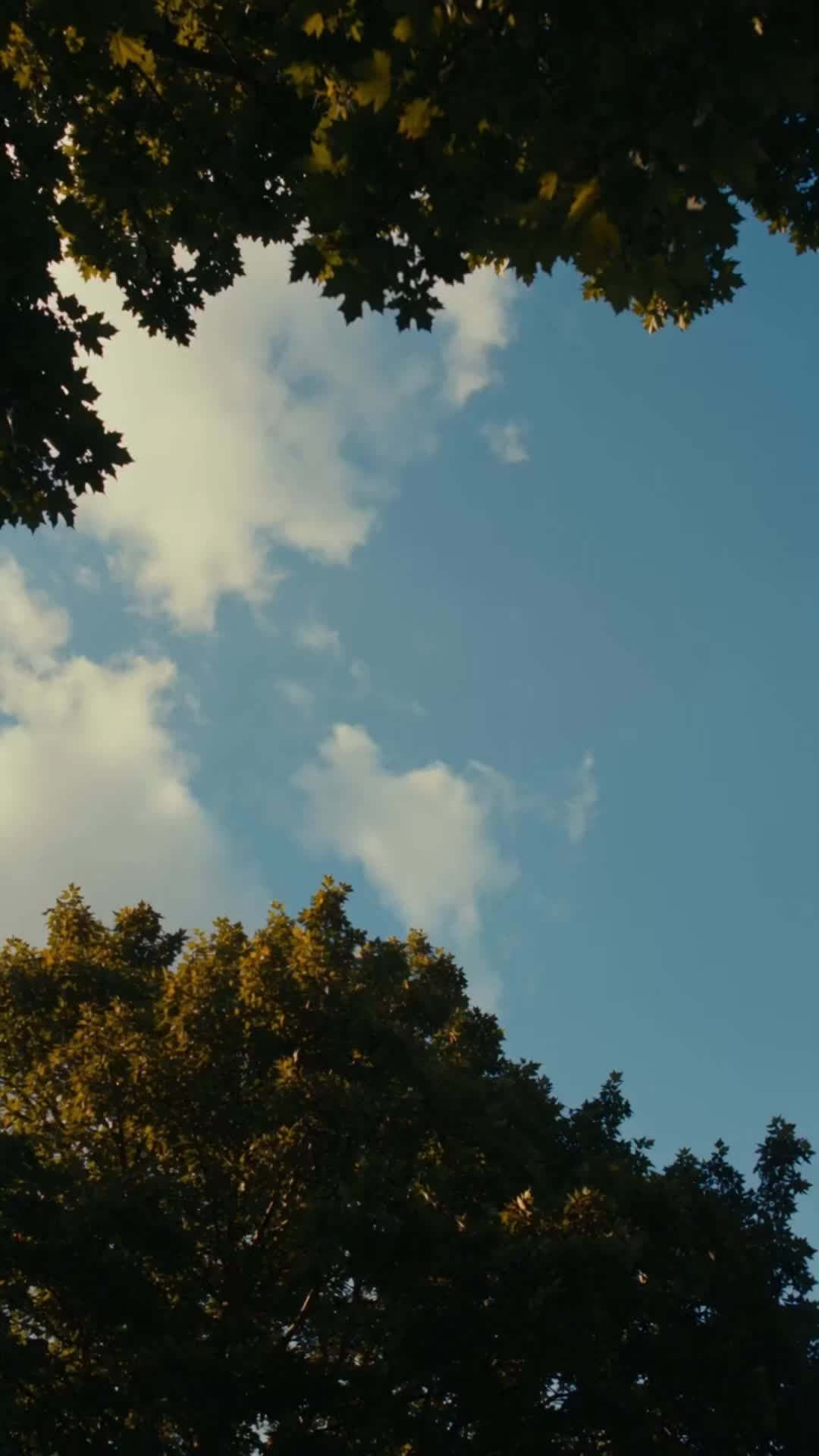 第25集