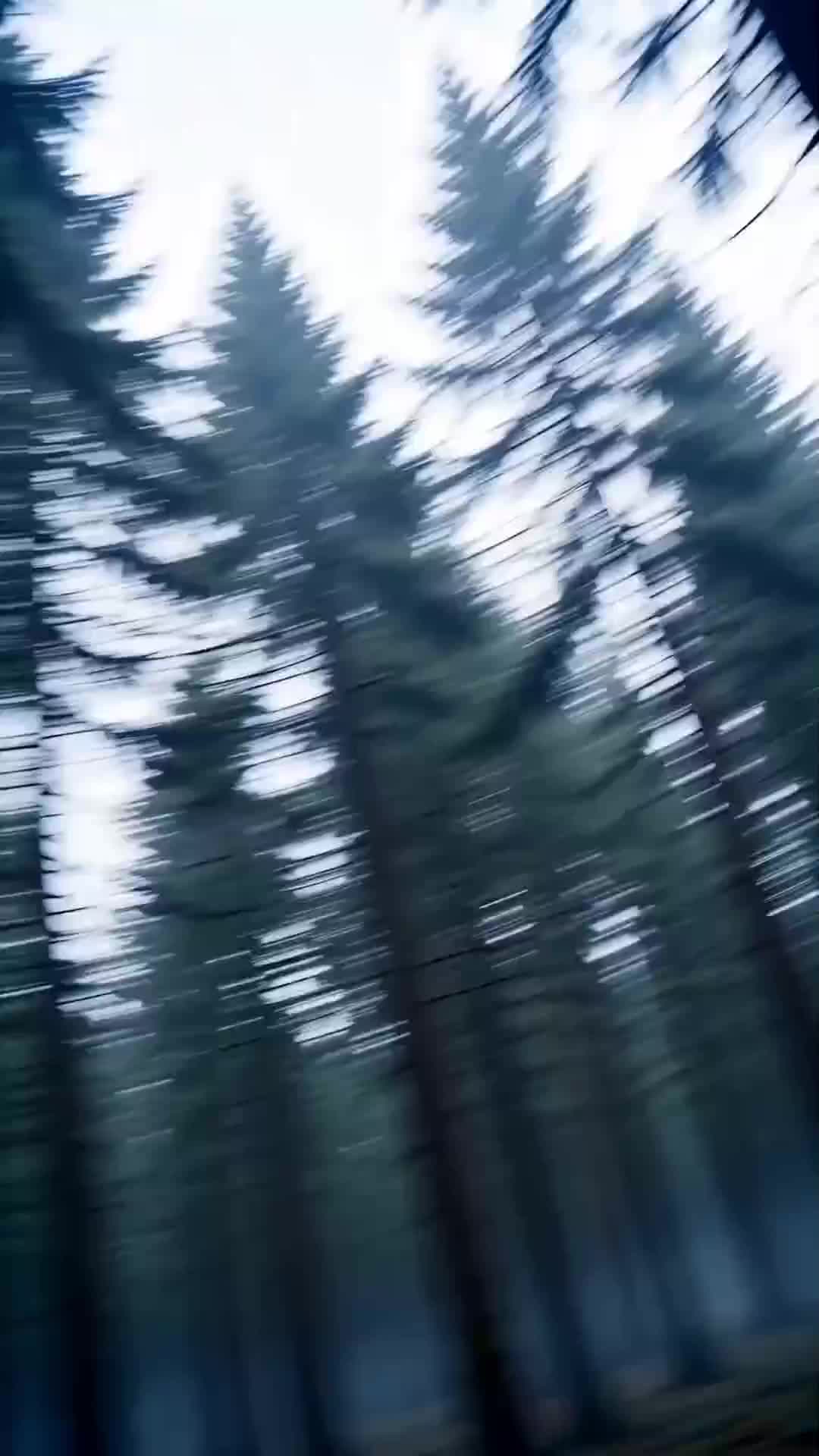 第56集