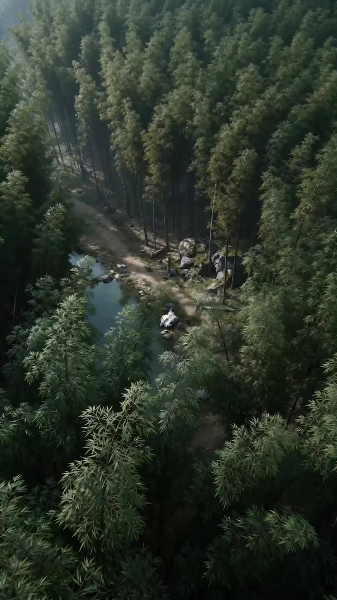 Episode 1 - Nothing Can Bind Me Again