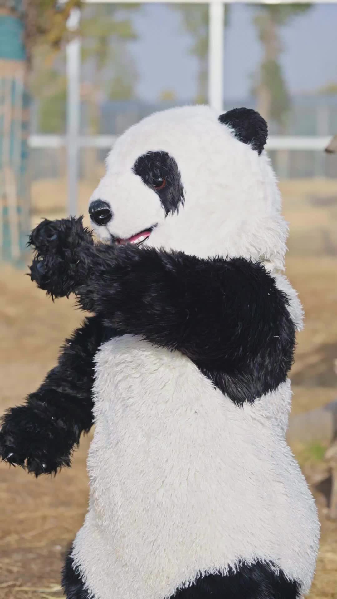 Episode 20 - That Panda Is Fighting Back