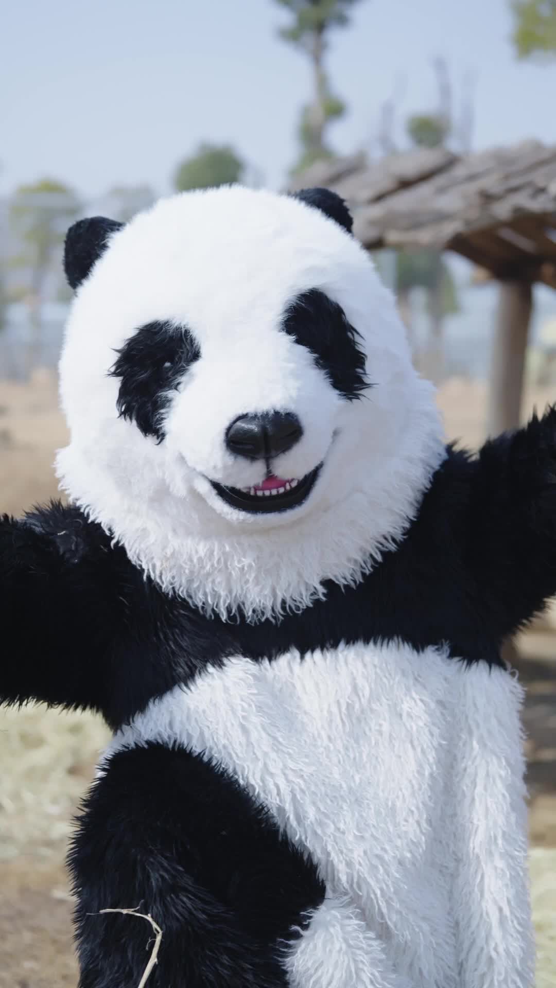 Episode 3 - That Panda Is Fighting Back