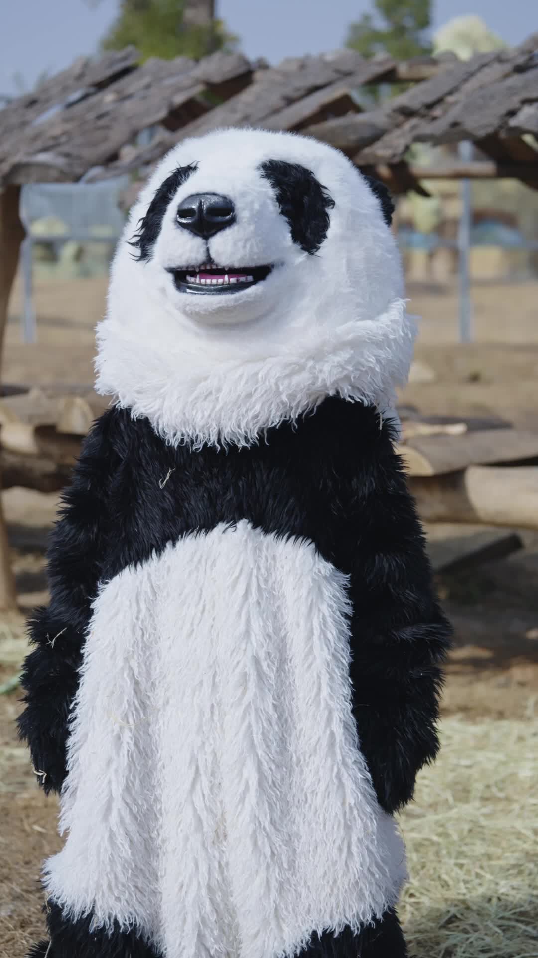 第4集 - 熊貓獲獎解毒復活 惡主下令暗殺