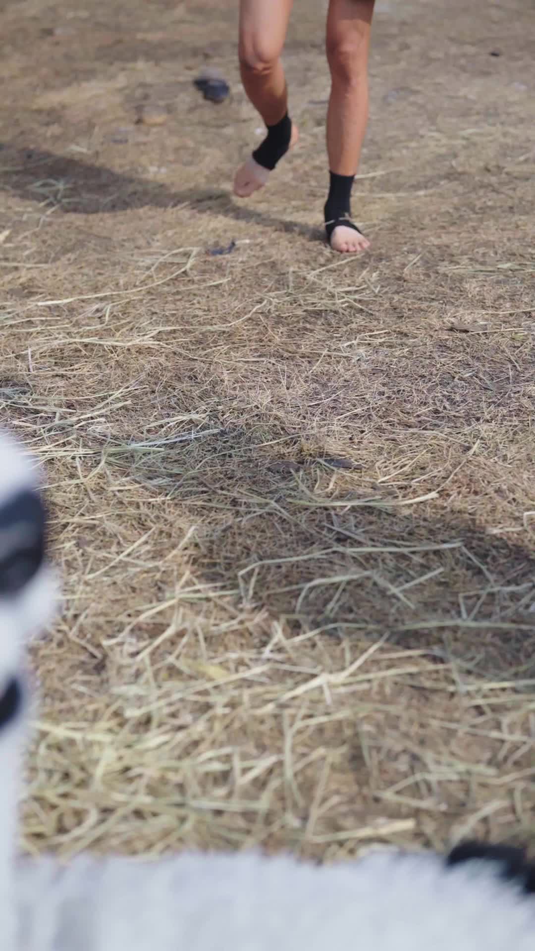 Episode 9 - That Panda Is Fighting Back