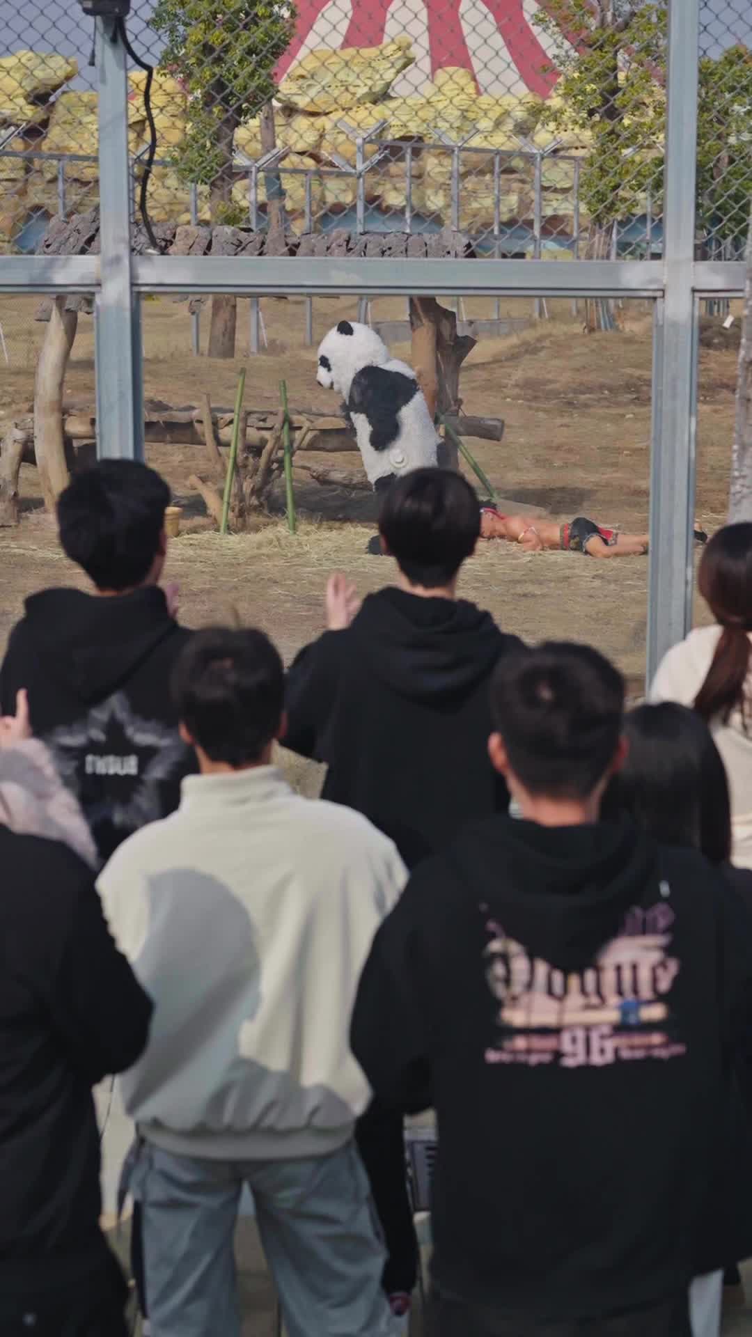 Episode 10 - That Panda Is Fighting Back