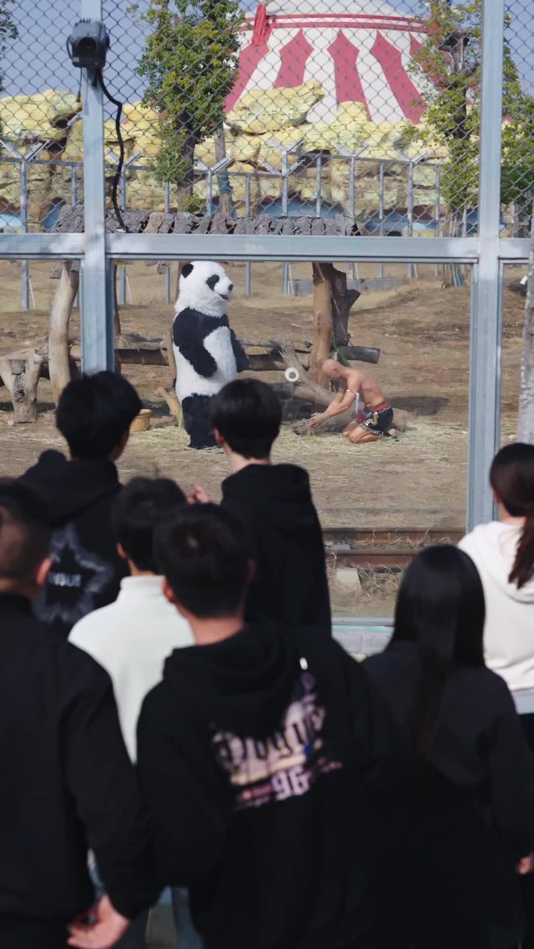 Episode 11 - That Panda Is Fighting Back