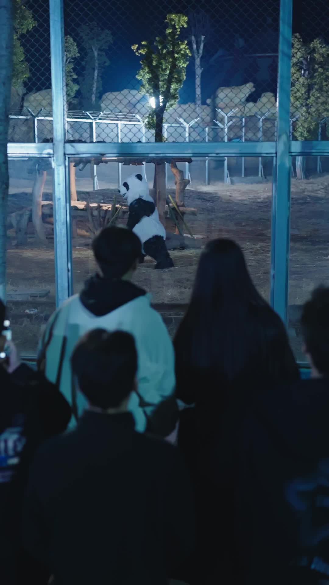 Episode 19 - That Panda Is Fighting Back