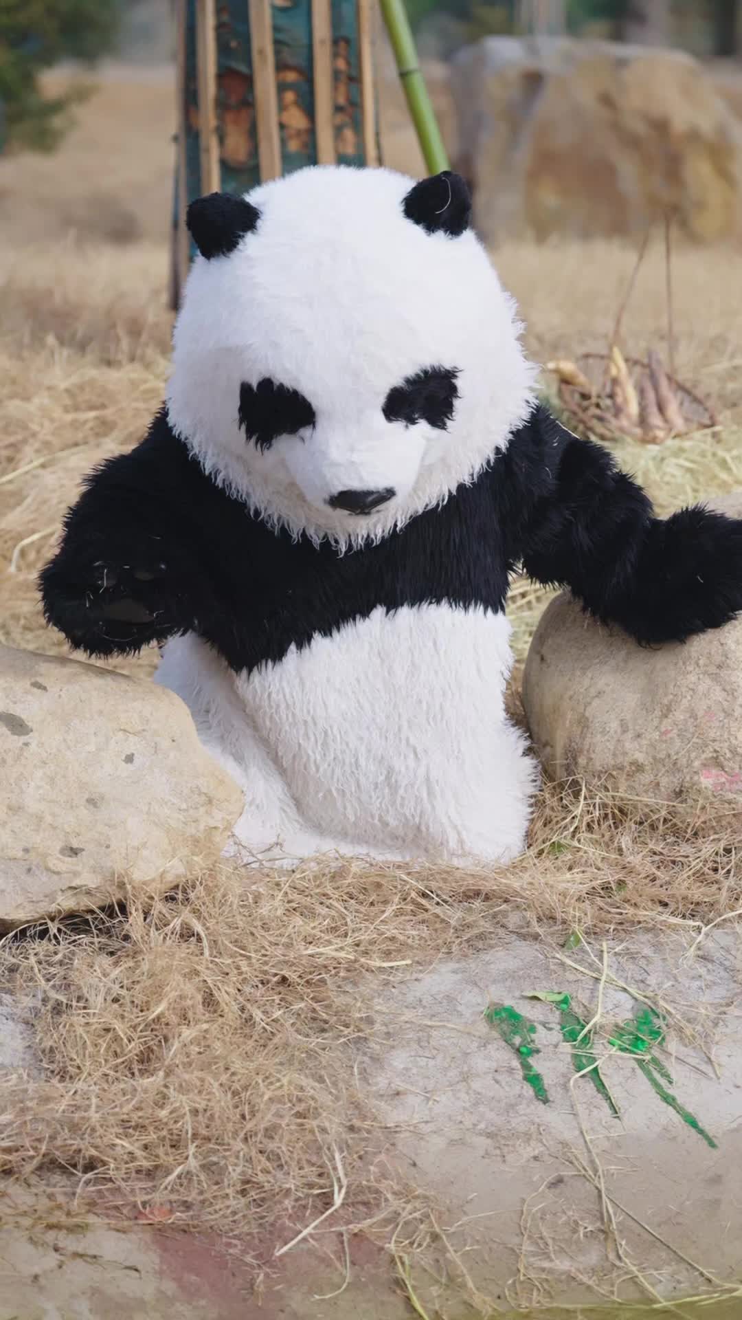Episode 2 - That Panda Is Fighting Back
