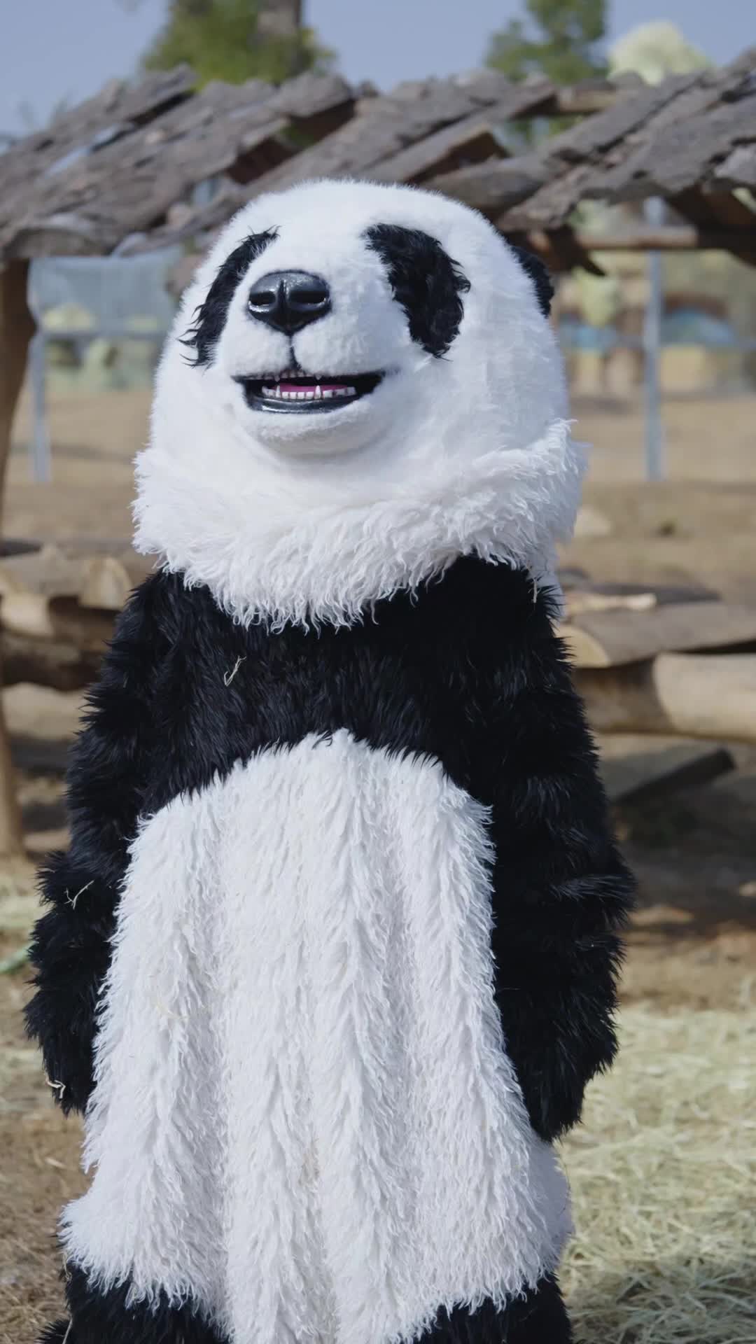 Episode 4 - That Panda Is Fighting Back