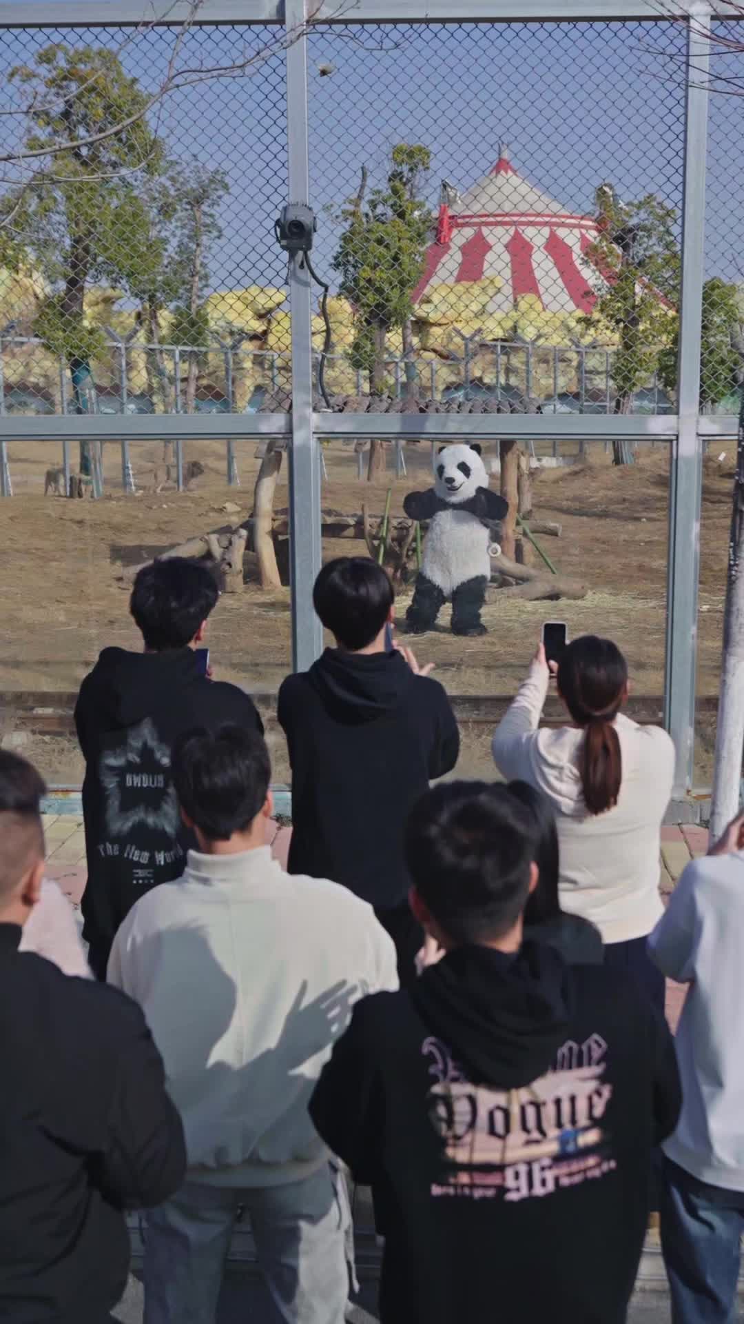 Episode 8 - That Panda Is Fighting Back