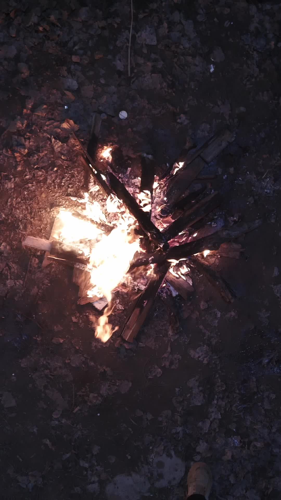 第1集 - 參加逃殺節目，綁系統追兇奪獎