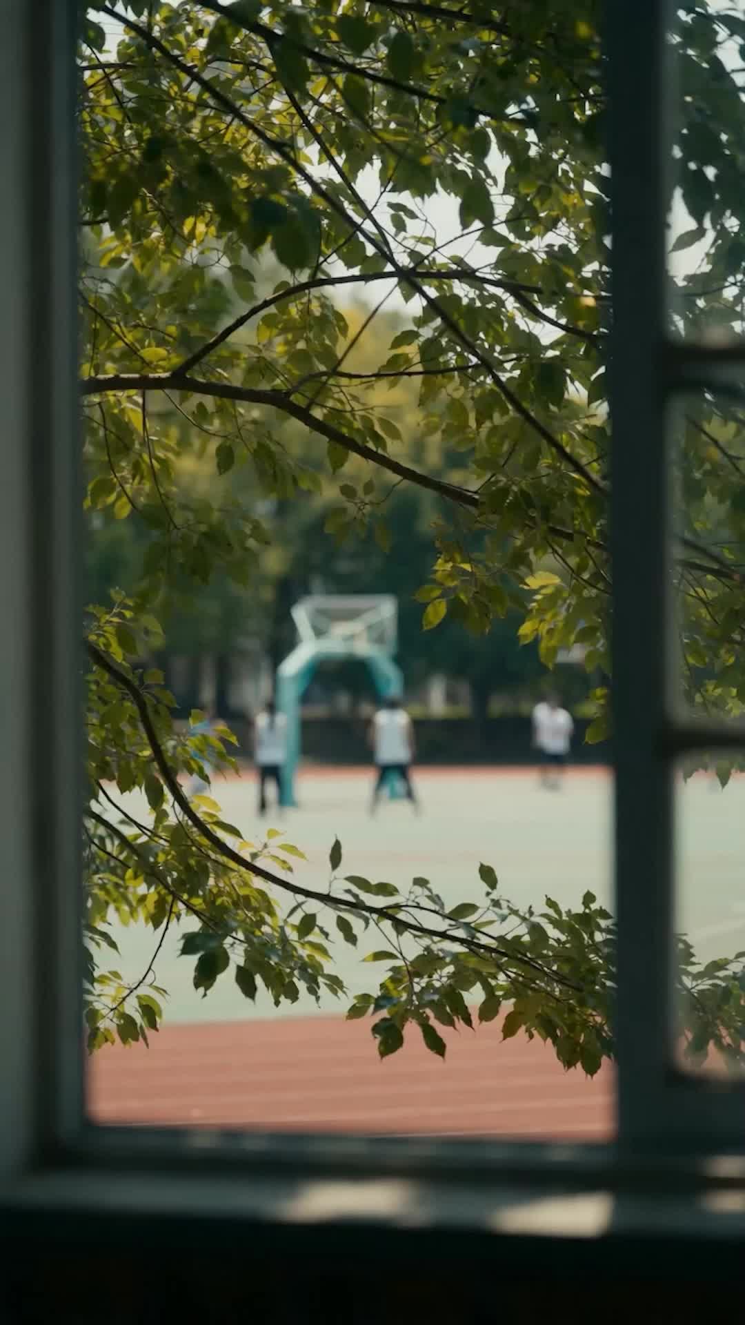 Episode 6 - Back to School, Back for Revenge