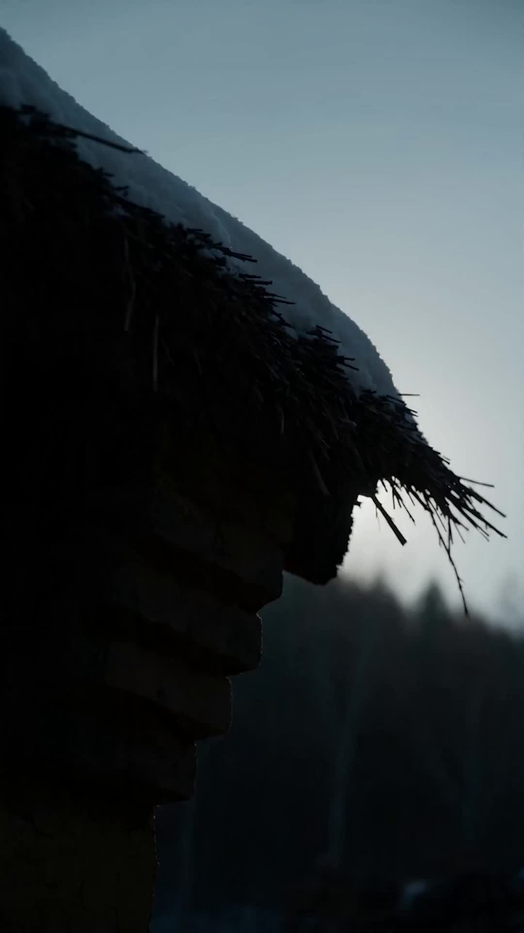 Episode 9 - Reborn Wild: Hunting My Family's Killers