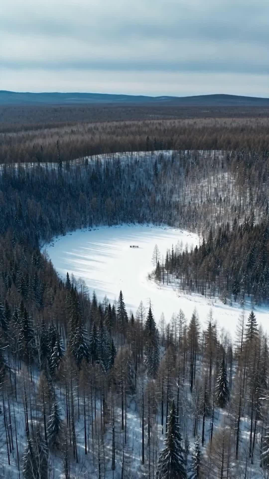 Episode 10 - Reborn Wild: Hunting My Family's Killers