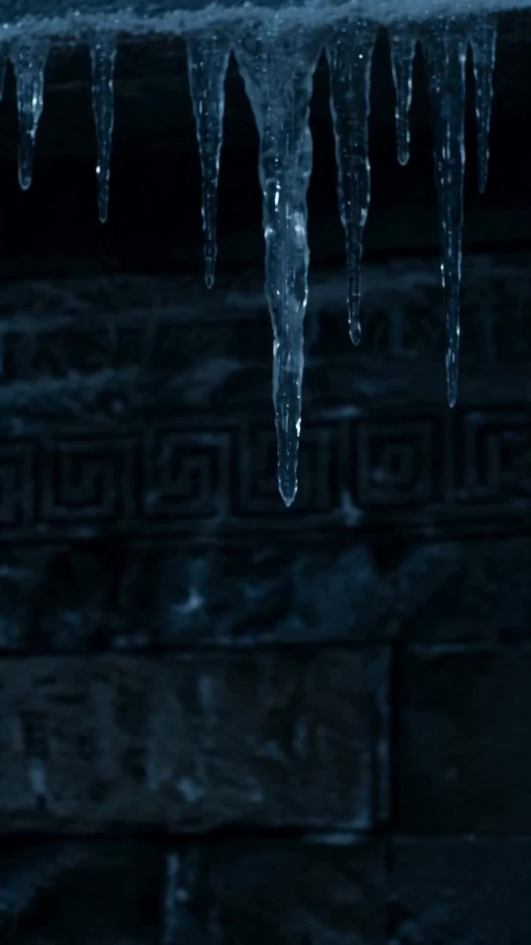 Episode 10 - Elsa's Agony: Family Forgets Her Birthday