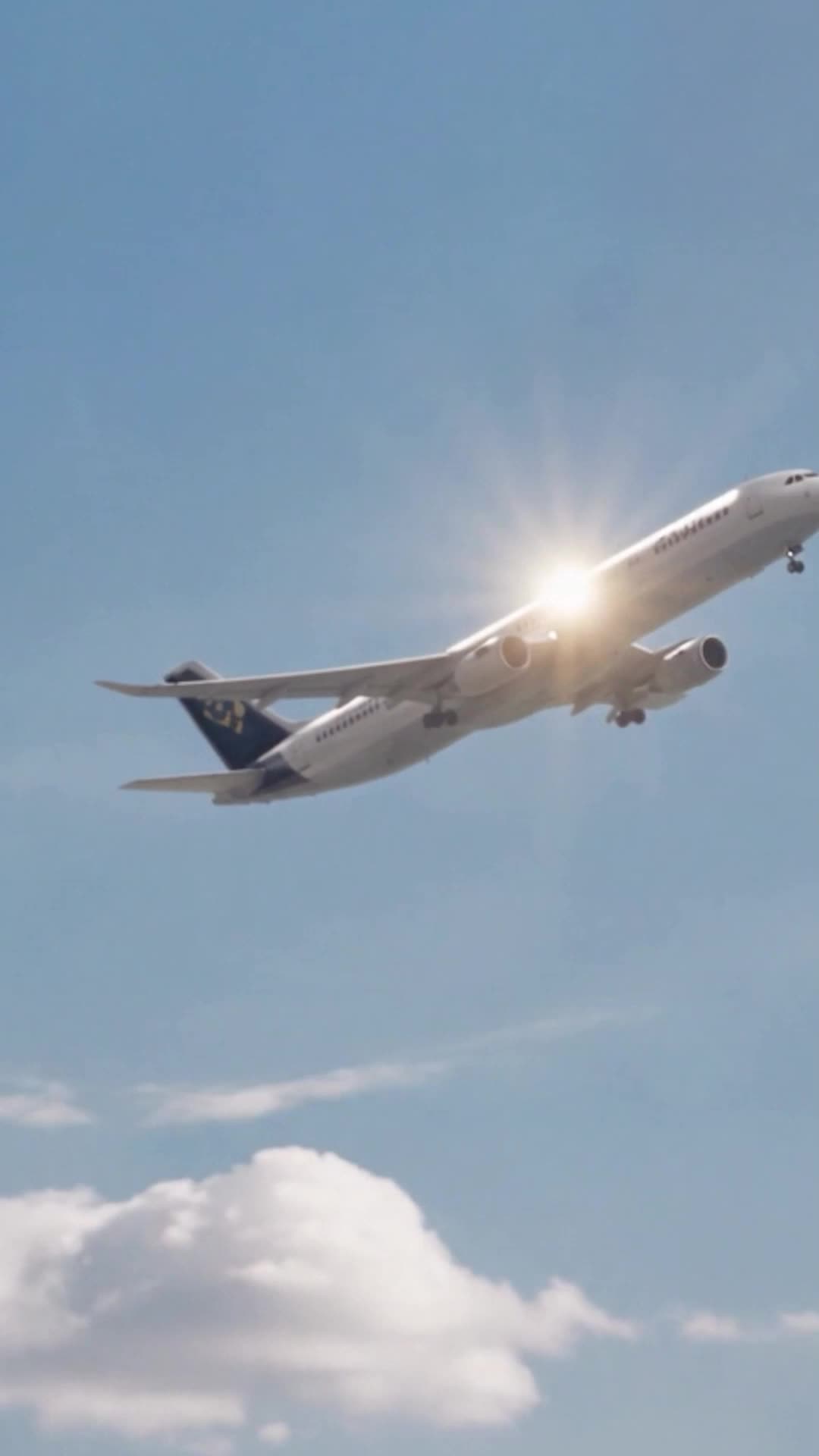 Episode 6 - Fatal Flight: No One Believed Her