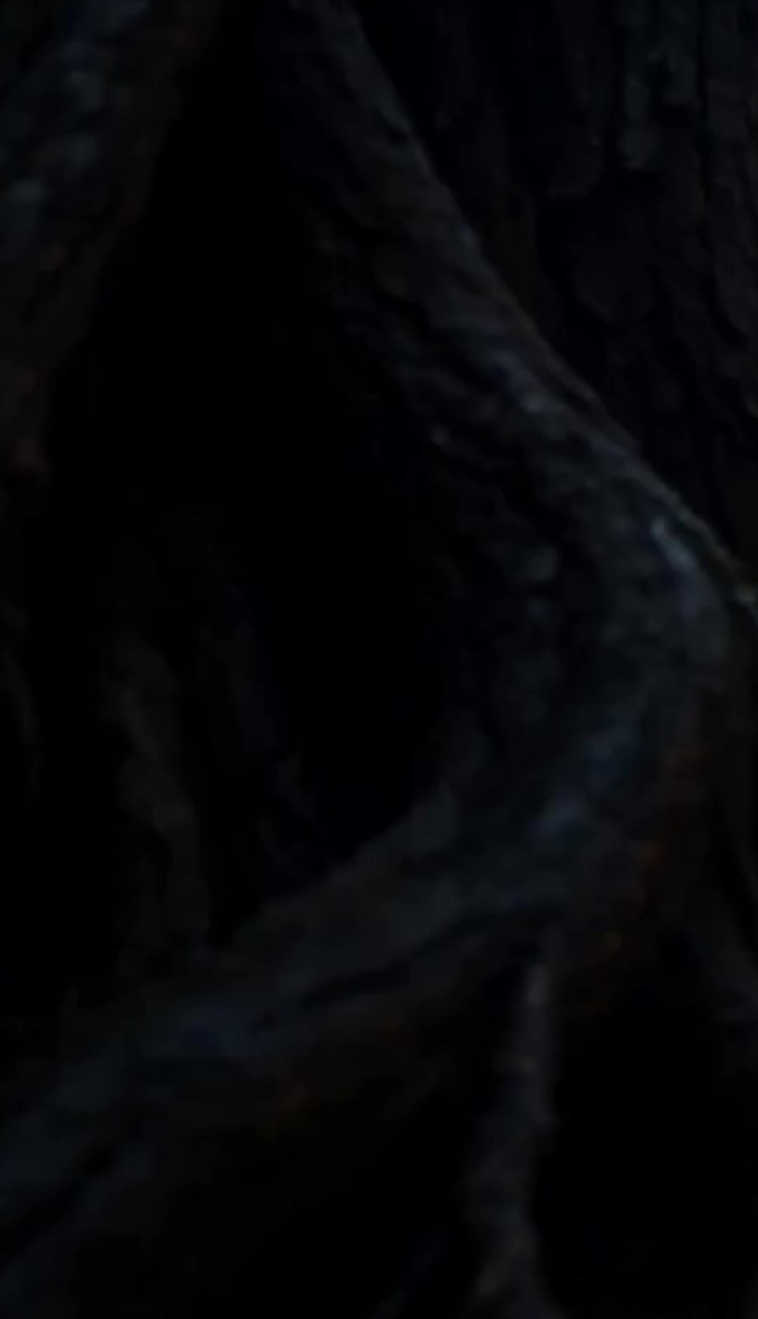 Episode 6 - The Alpha's Rejected Oath