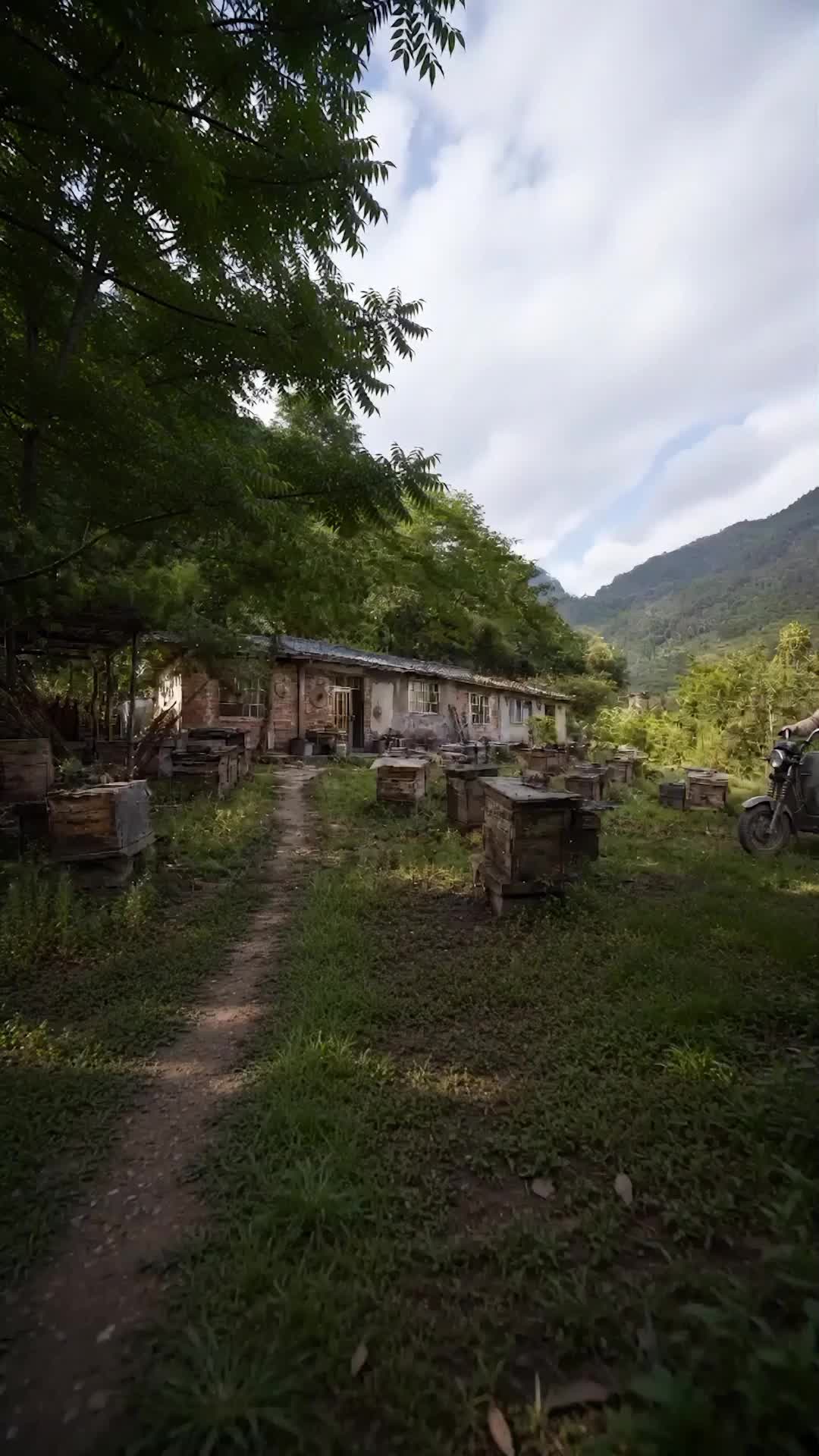 Episode 7 - Beekeeper? You Messed with the Wrong Guy
