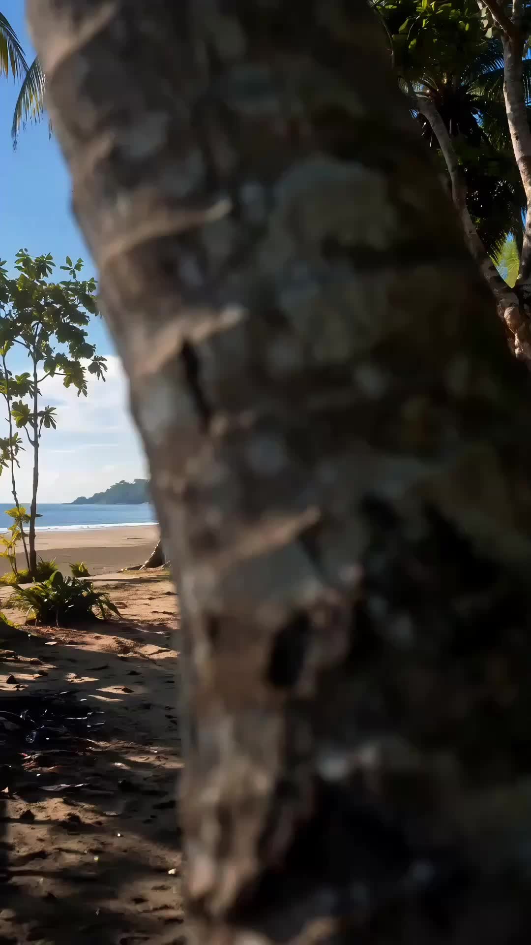 Episode 9 - Island Diary with My Stepmother