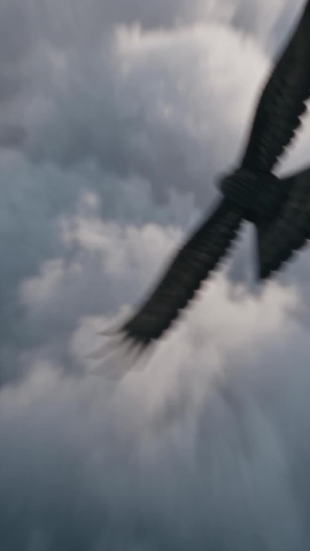 Episode 9 - They Called The God King A Fraud