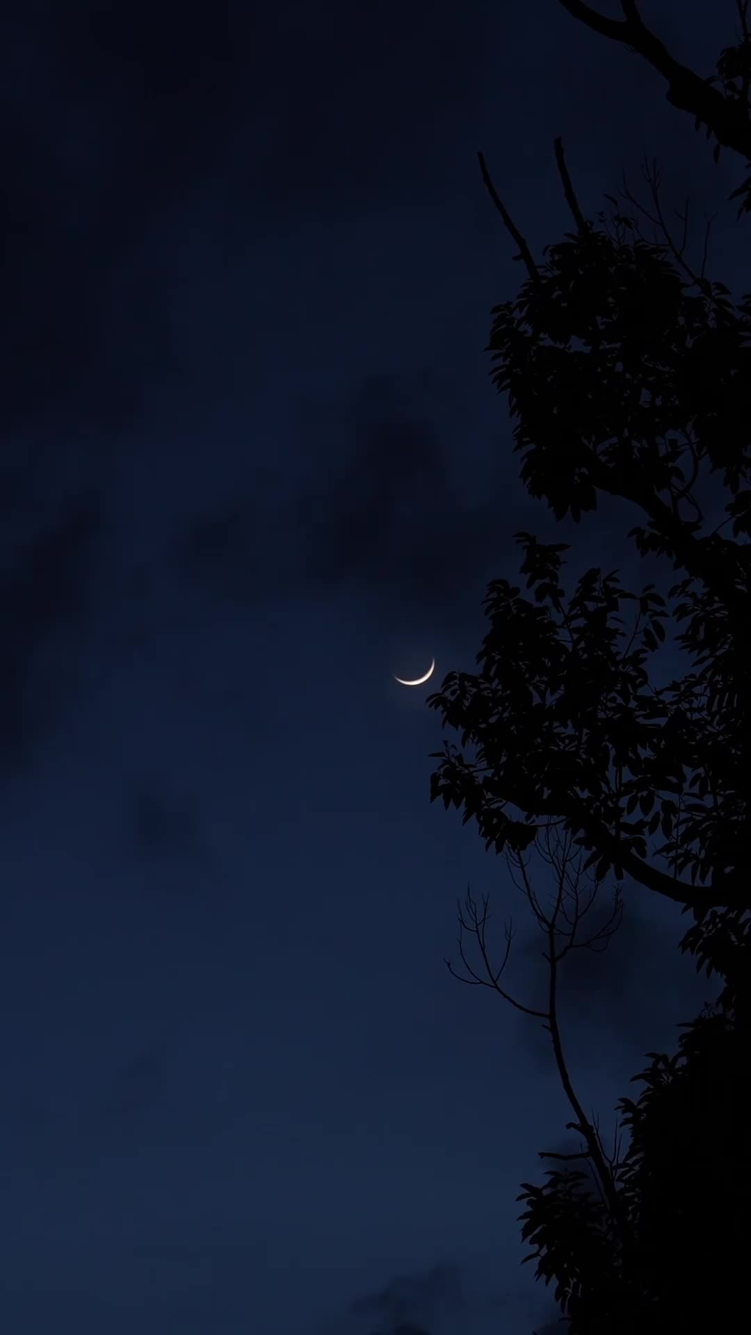 Episódio 1 - Gabriel recebe uma surpresa chocante!