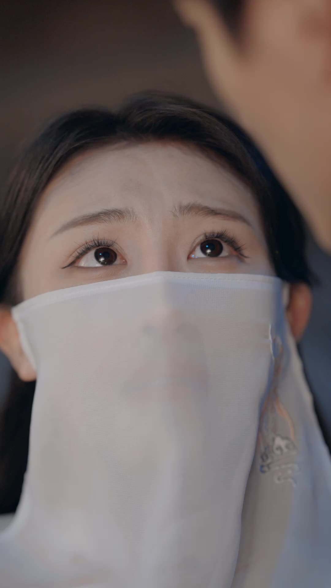 Épisode 19 - La ressemblance oculaire suscite l'intrigue