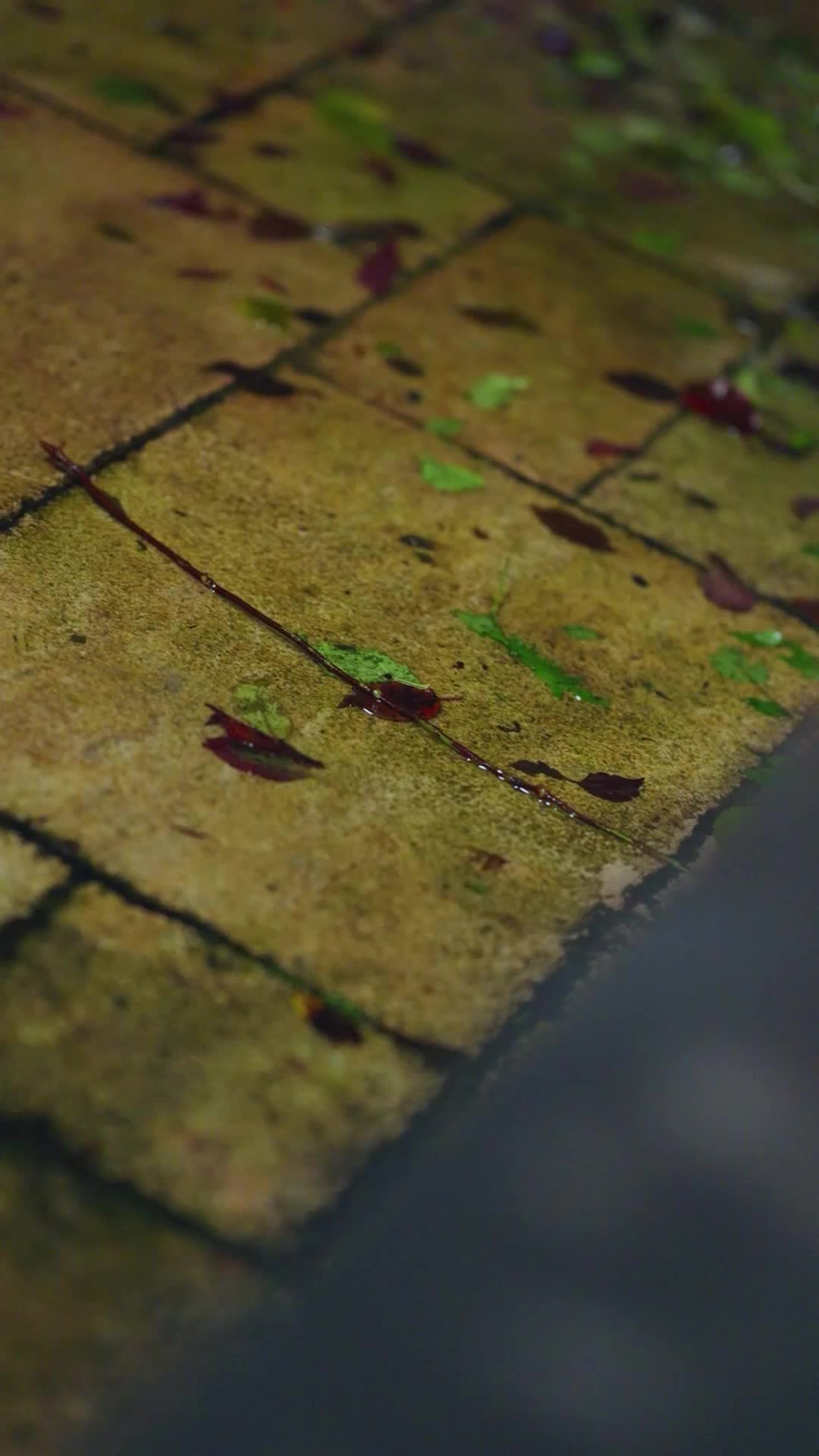 Folge 12 - Neuanfang: Engel oder Fassade?