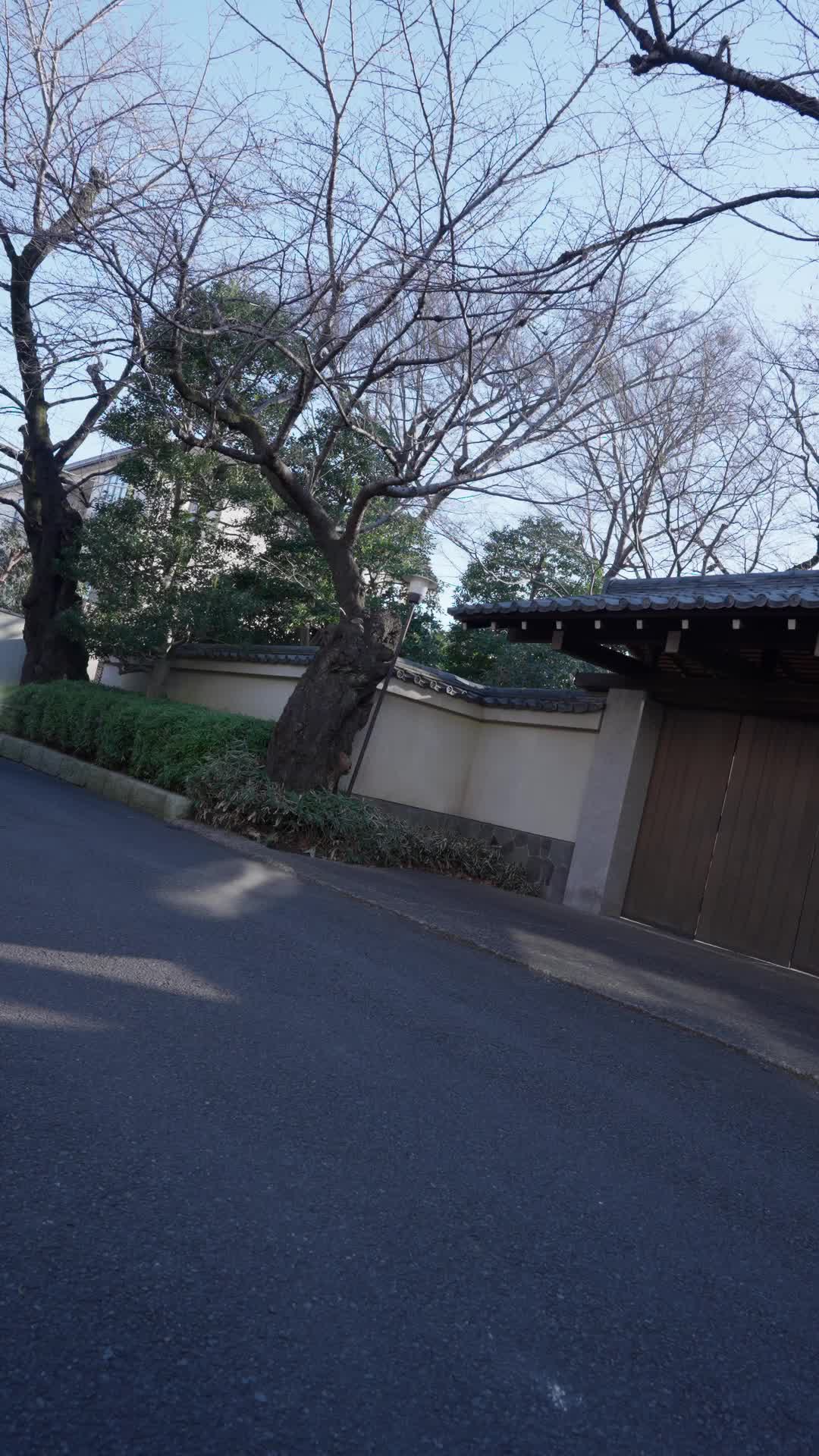 第16話 - ワンナイトの誓い～秘密の夜明け