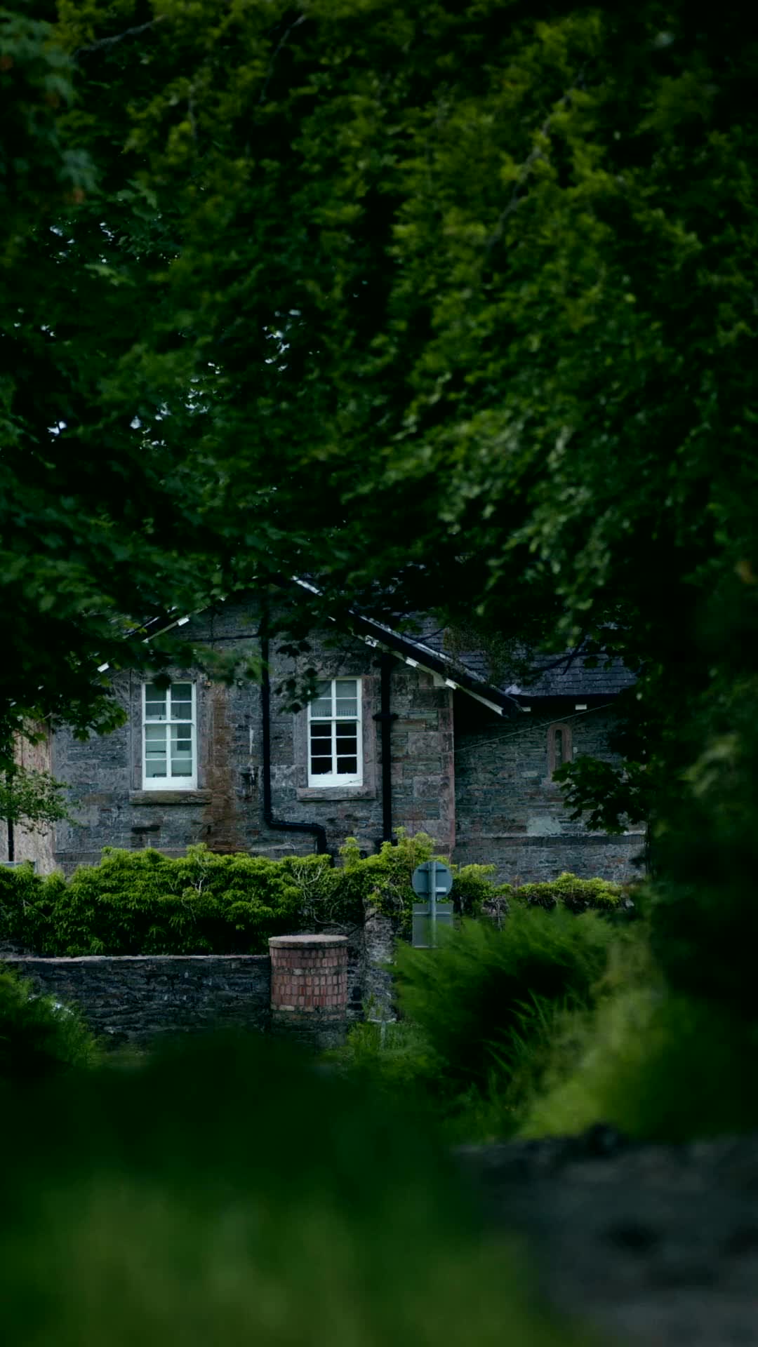 第39話 - 未亡人の恋物語～光と影と未来