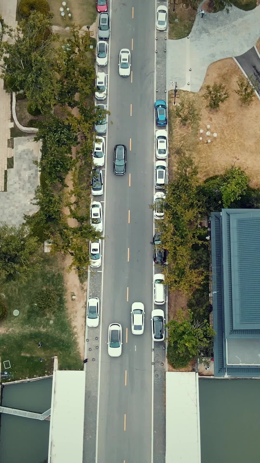 17 серия - кулака