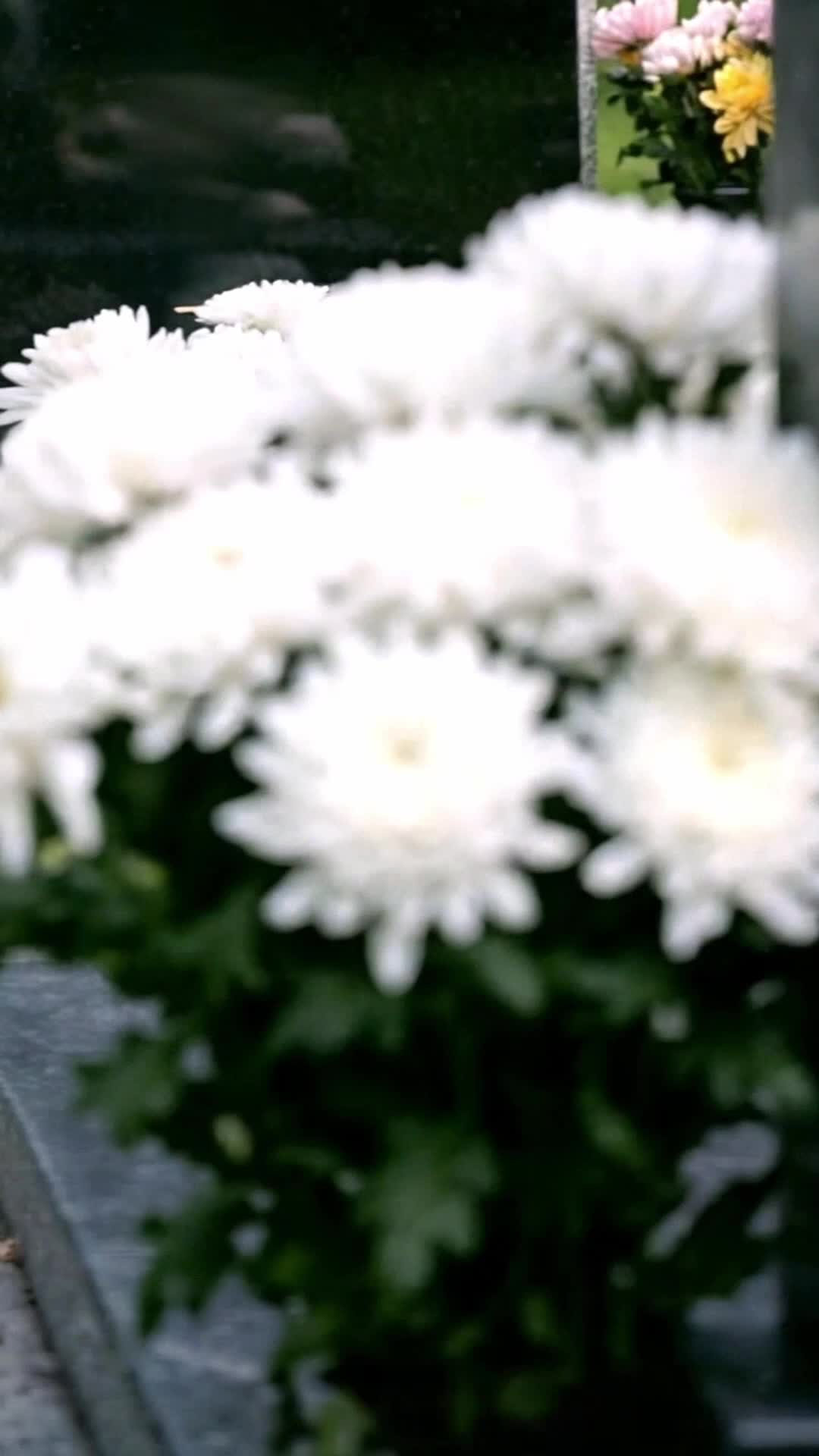 ตอนที่ 1