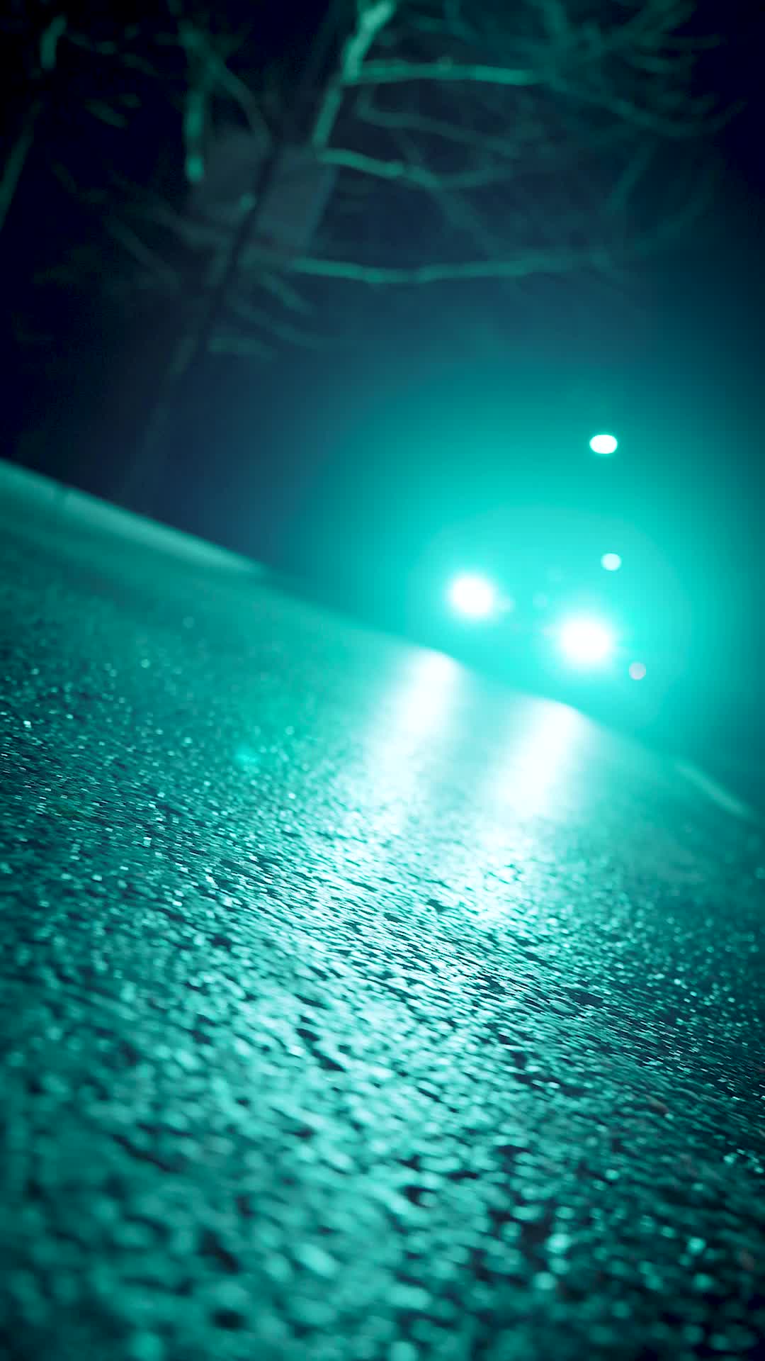 第47集 - 幡然悔悟后,我独宠亲生儿子