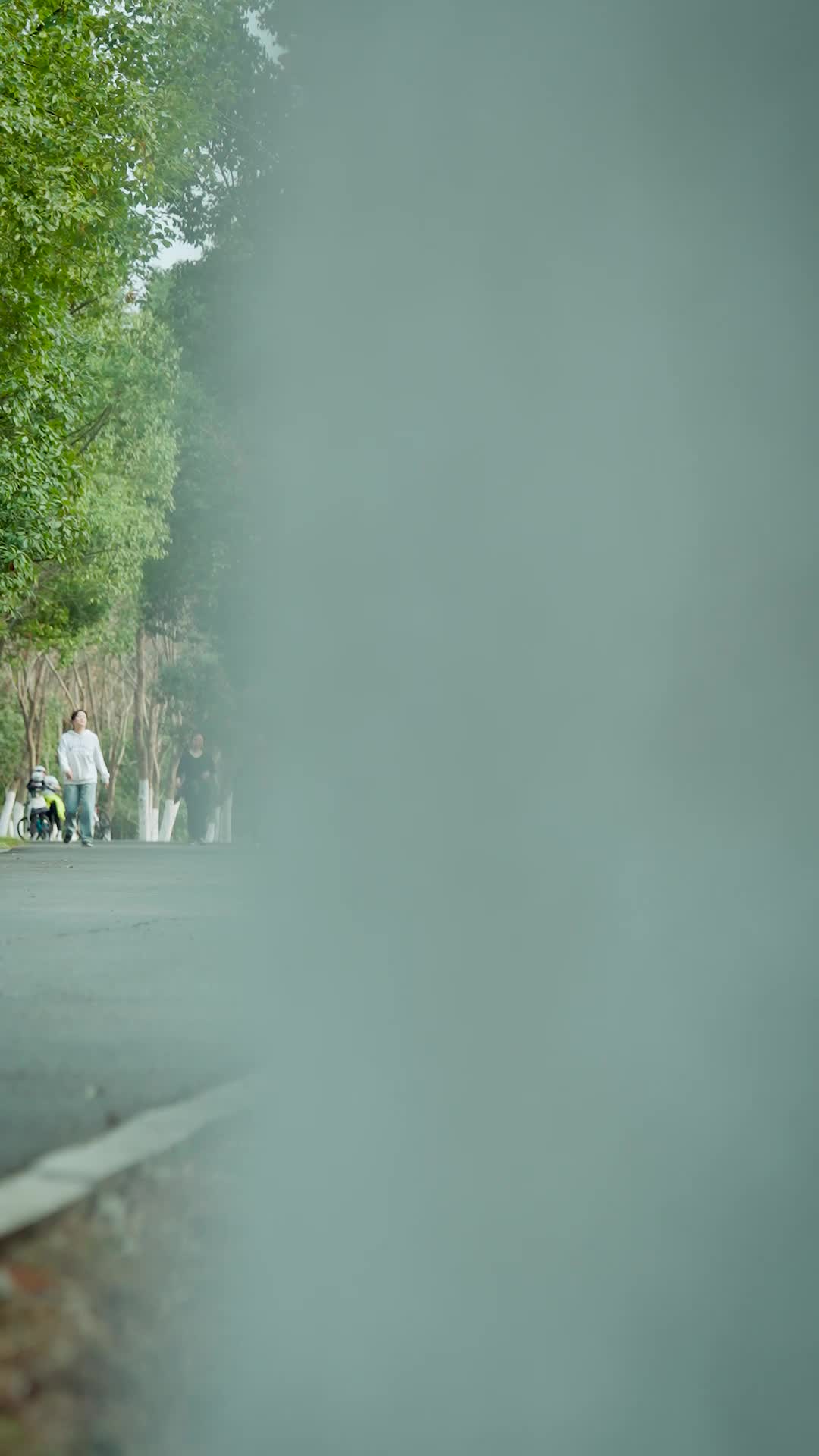 第48集 - 幡然悔悟后,我独宠亲生儿子