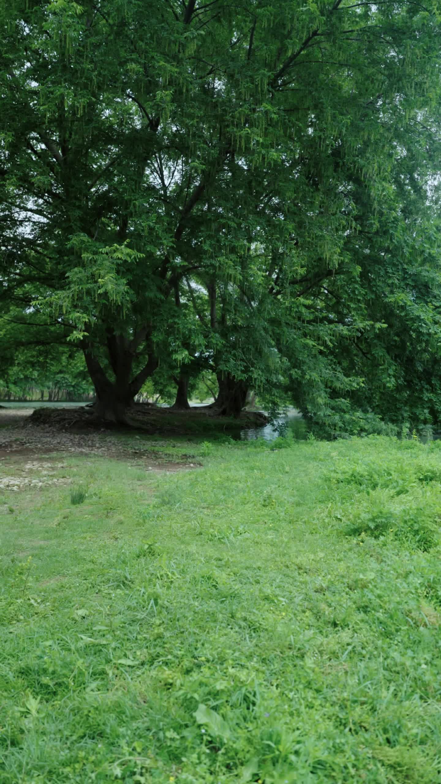 第9集 - 满门恋爱脑，唯有小师弟正的发邪