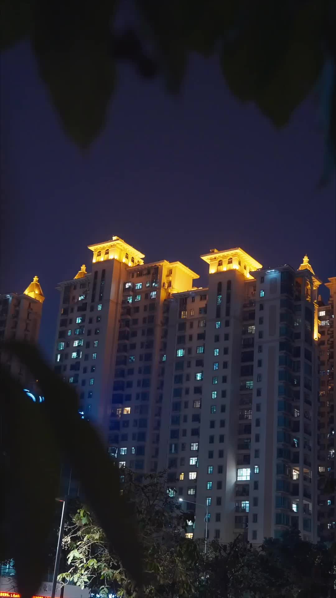 第51集 - 罪之花