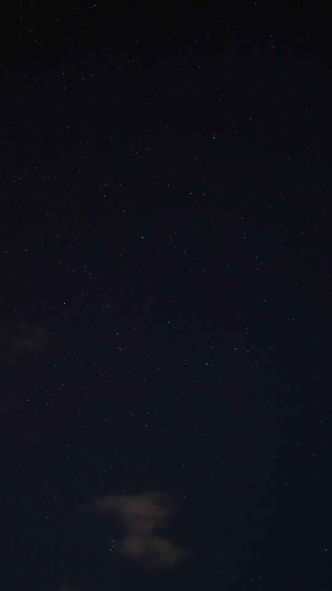 第56集 - 罪之花