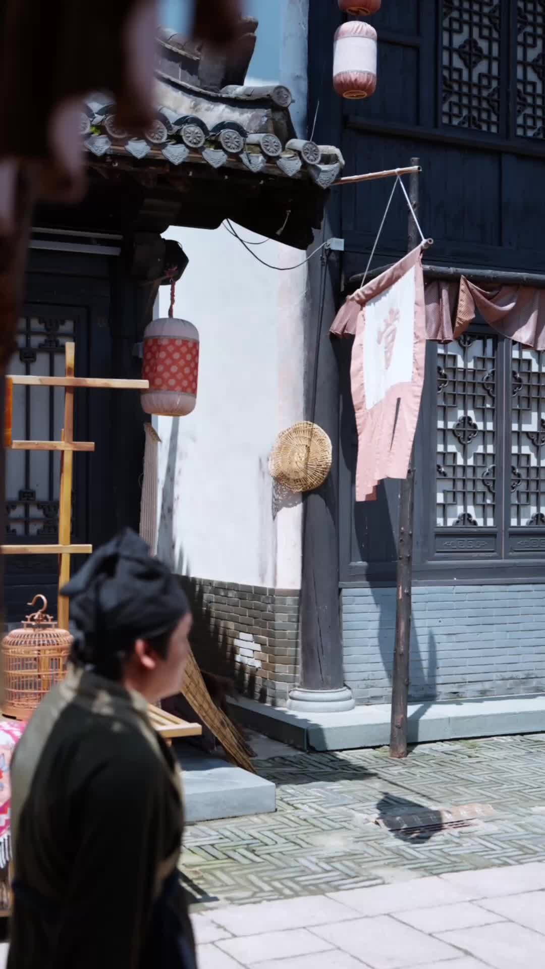 第20集 - 鳳鳴向南枝