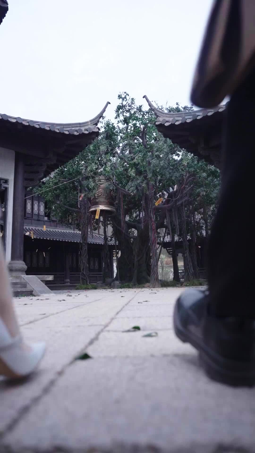 第30集 - 供奉千日，毀於一念