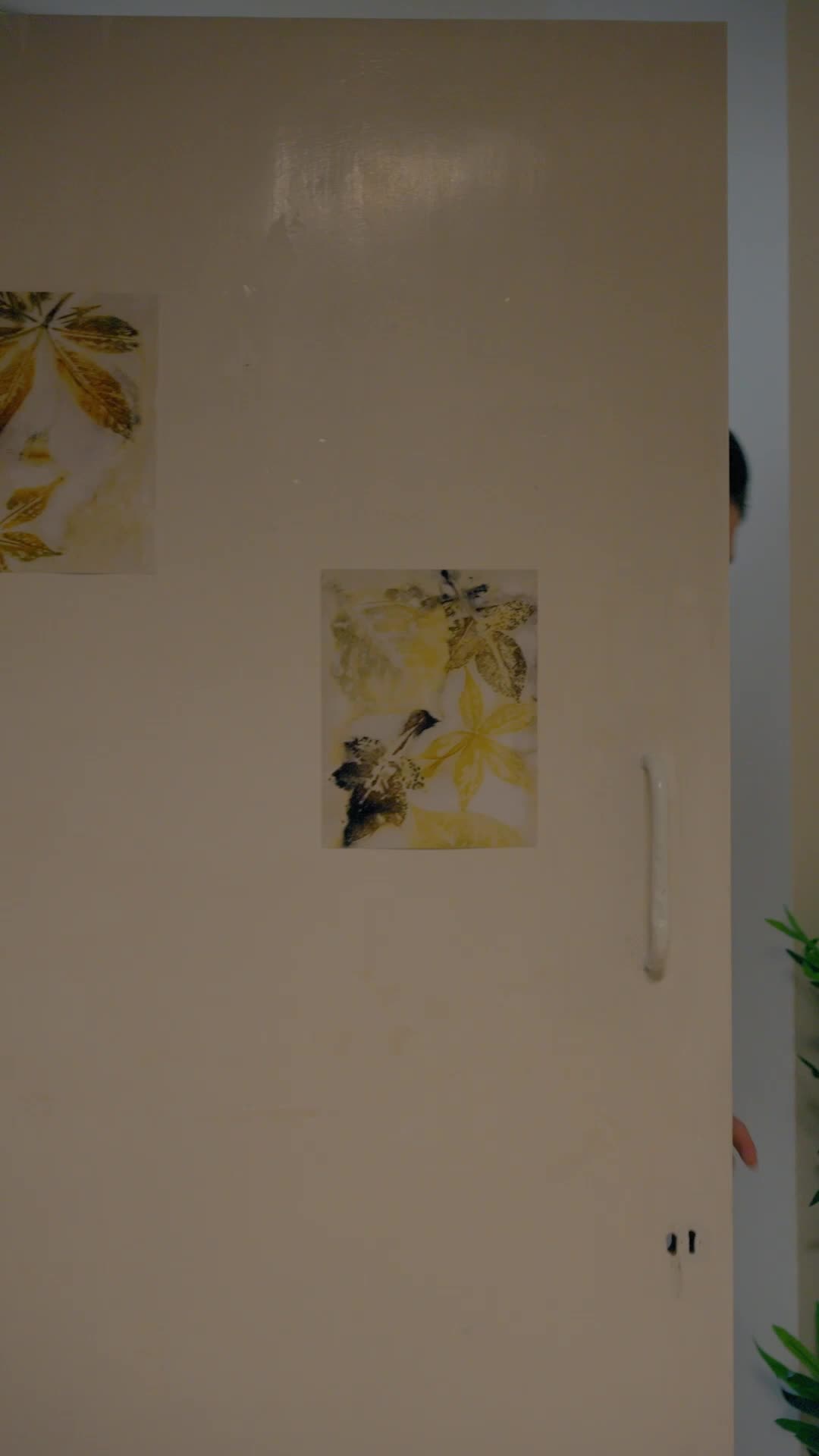 第27集 - 醜女復仇記