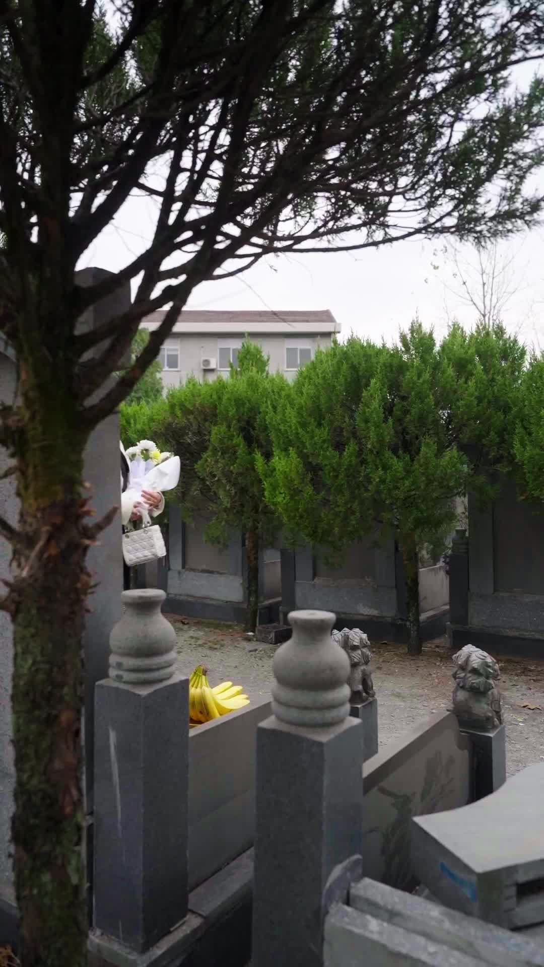 第13集 - 大小姐別怕，我略懂億點拳腳