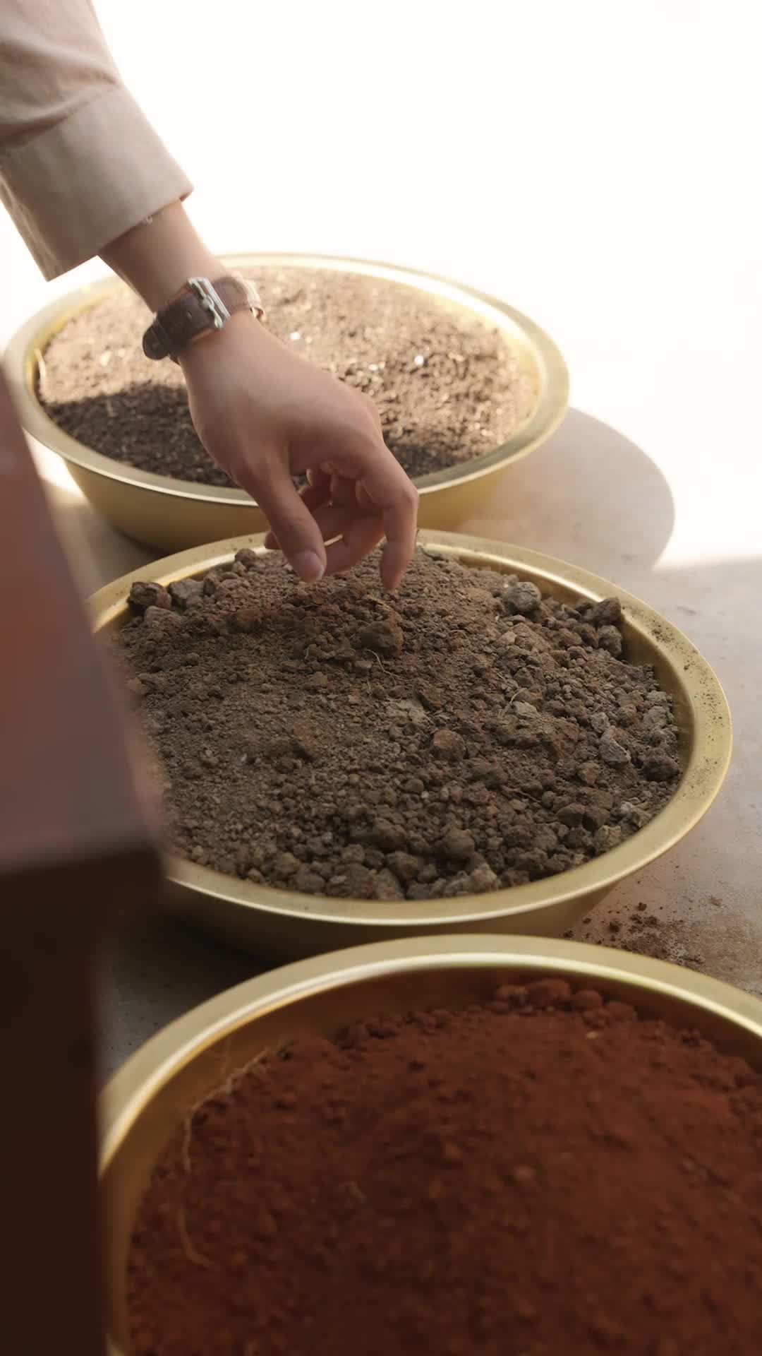 第30集 - 陸家村致富計畫