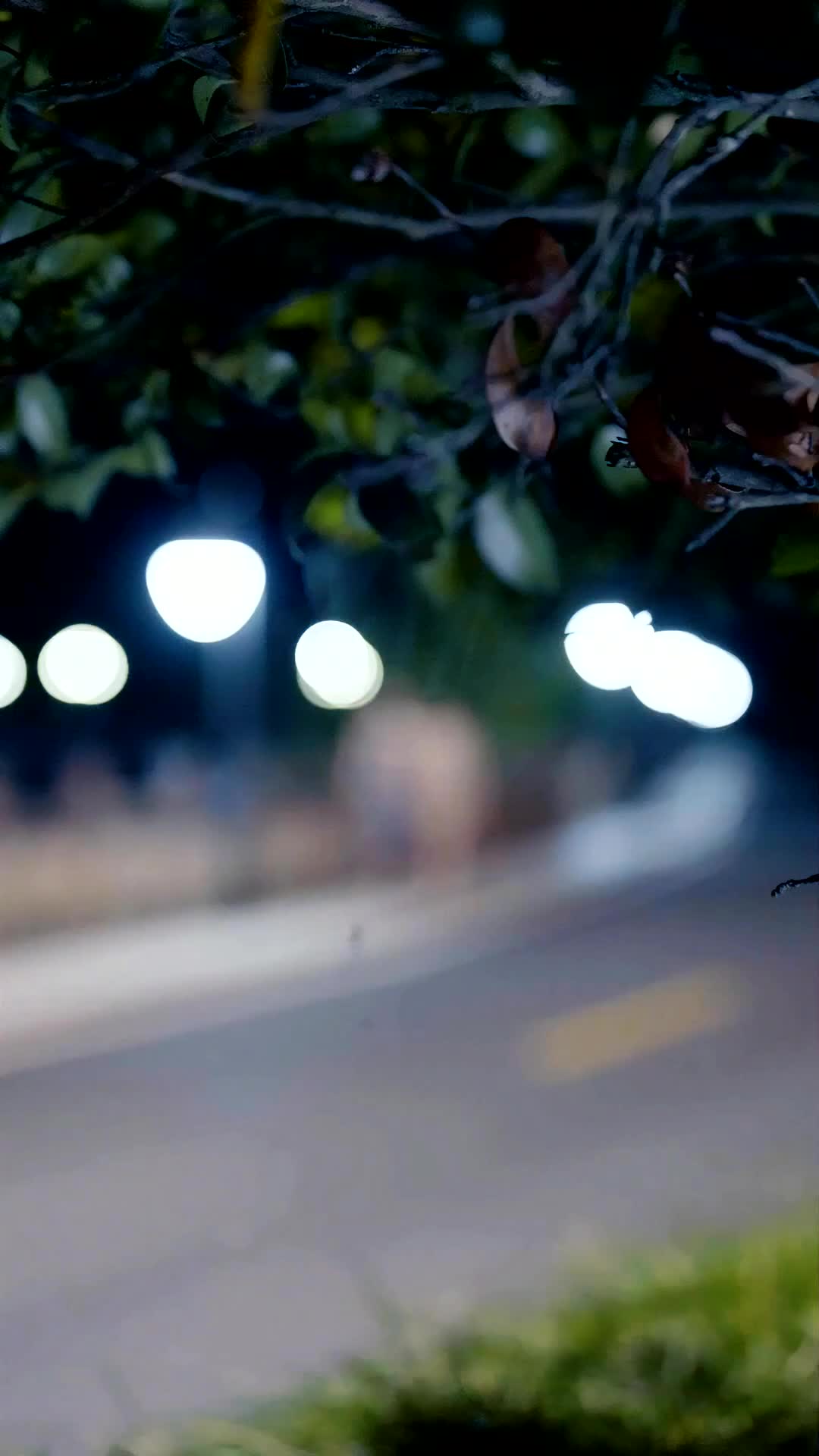 第67集 - 天帝爺孫·天庭嗨聊奇緣