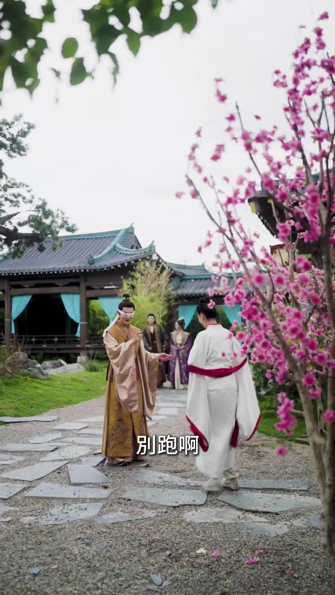 第55集 - 太子妃她偷偷藏驕