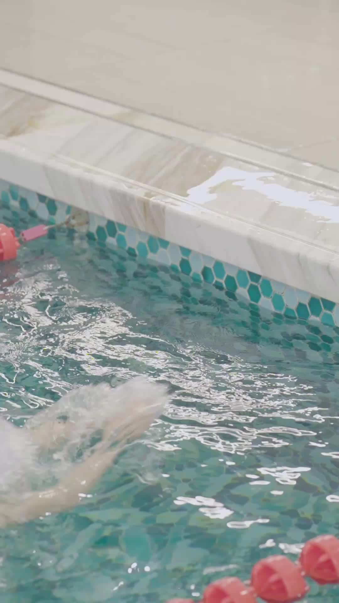 第12集 - 奧運之我是游泳冠軍