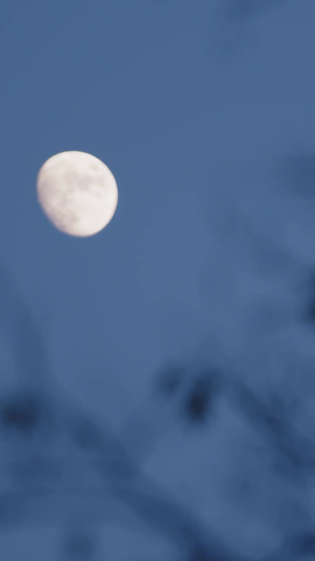 第1集 - 廢品車神童