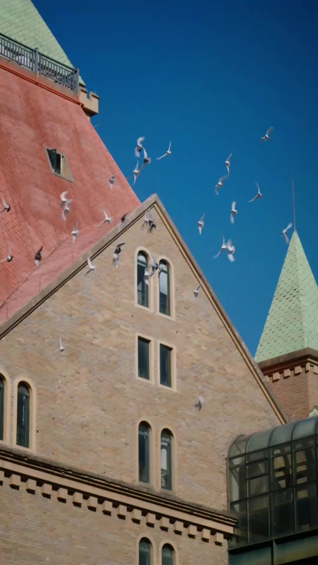 第37集 - 如果思念有聲音