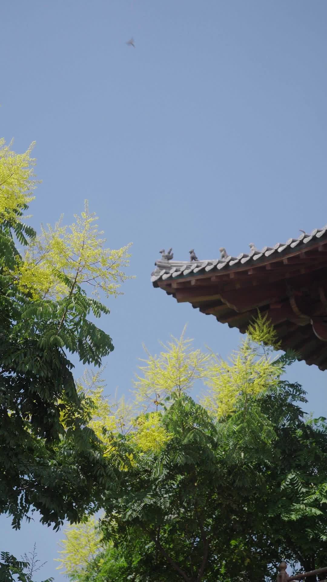 第13集 - 嫡女黑千金歸來，專治一切不服