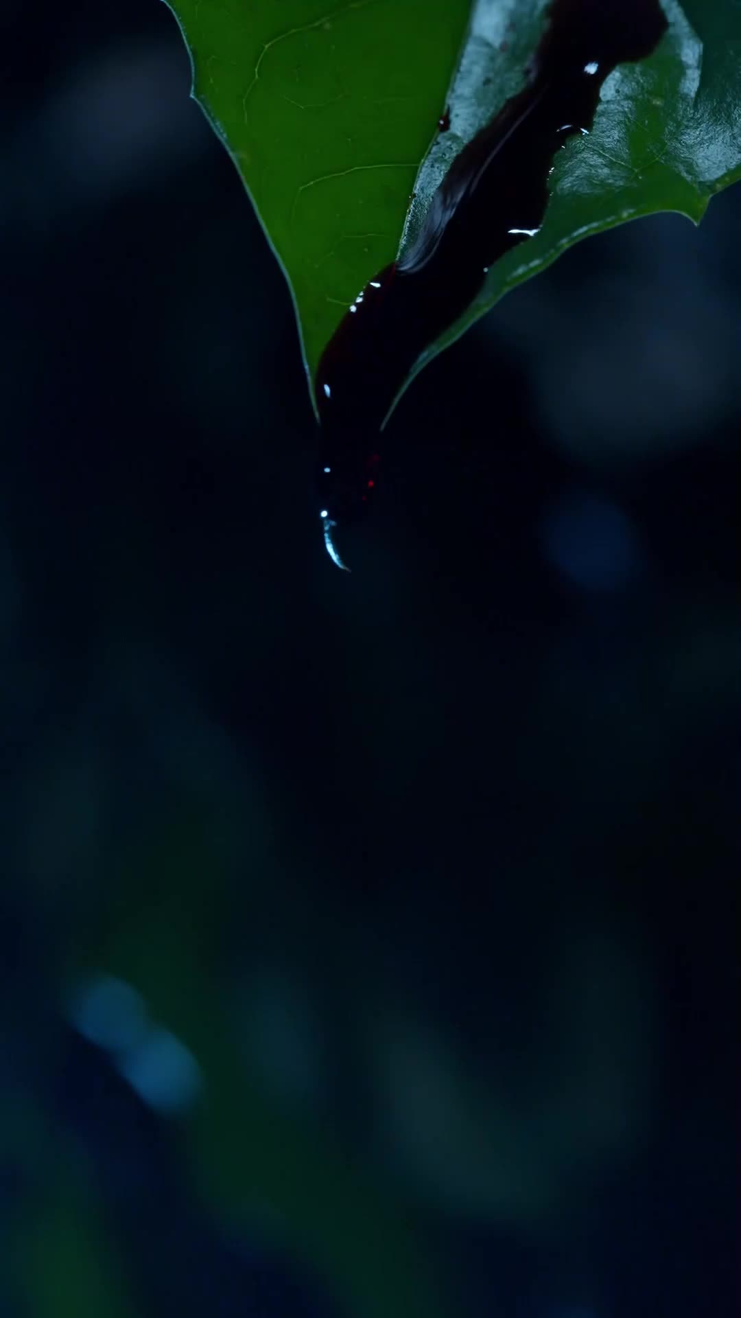 第1集 - 錦瑟書
