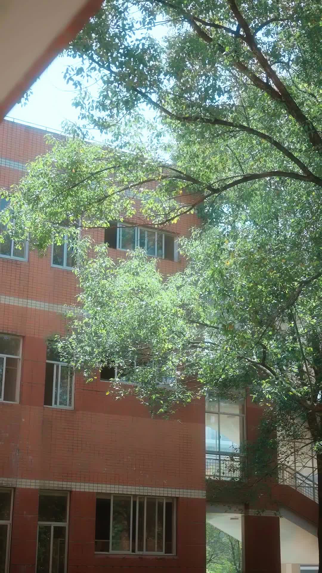 第22集 - 萬次心劫