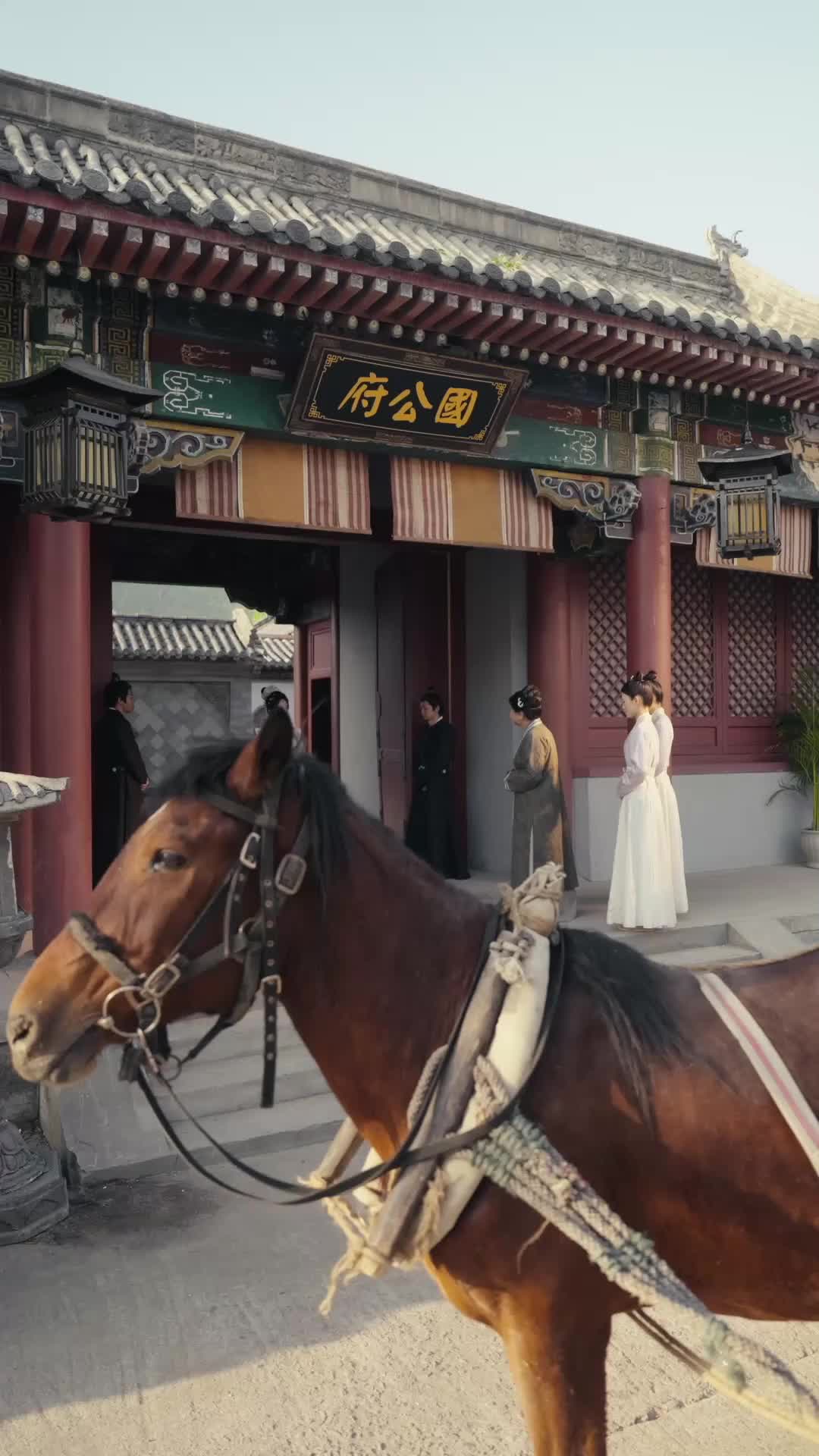第15集 - 撕婚書的女人