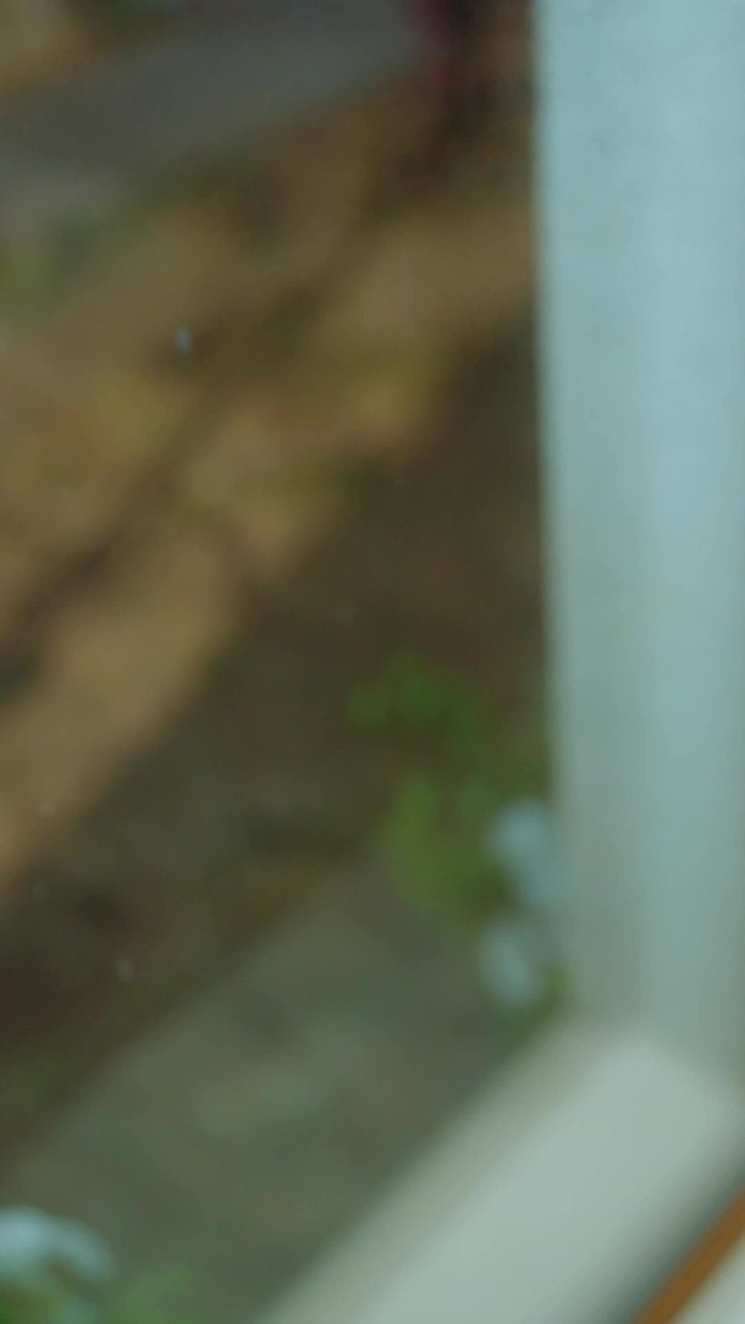 第14集 - 她葬童話於廢墟之上